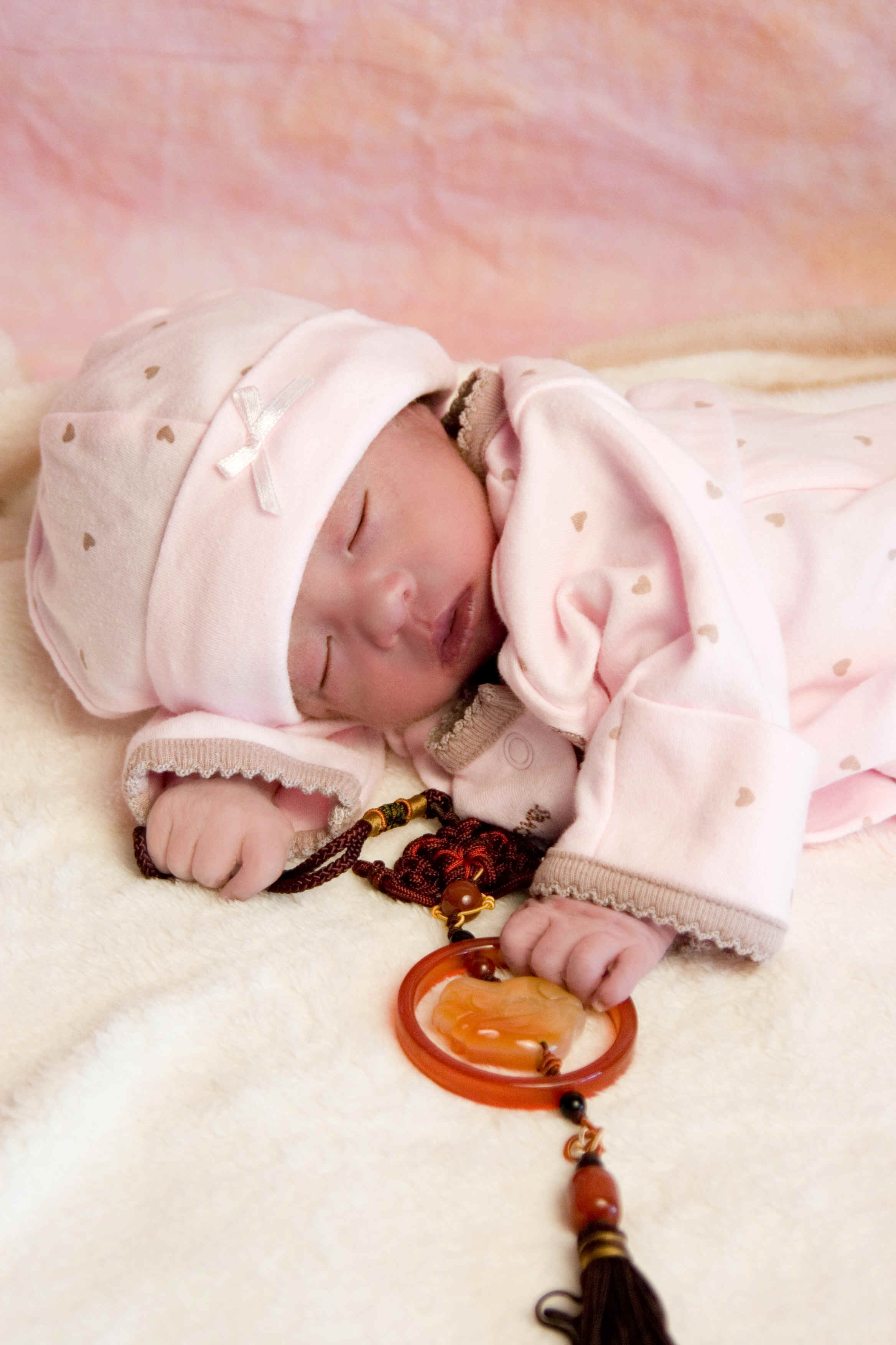 wpe2.jpg (363946 bytes)