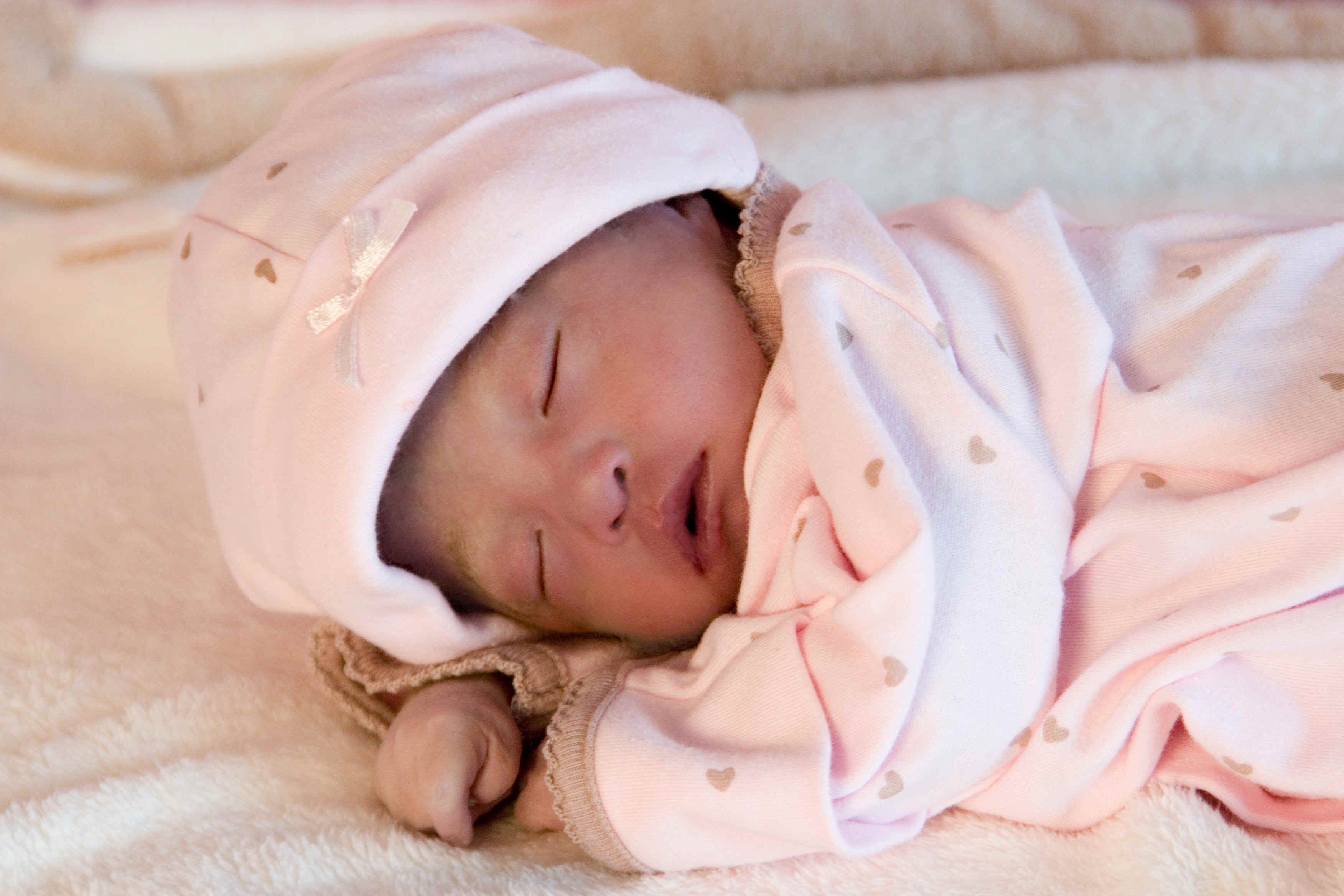 wpe3.jpg (375254 bytes)